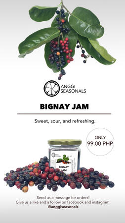 Product poster for Bignay Jam (Vertical)